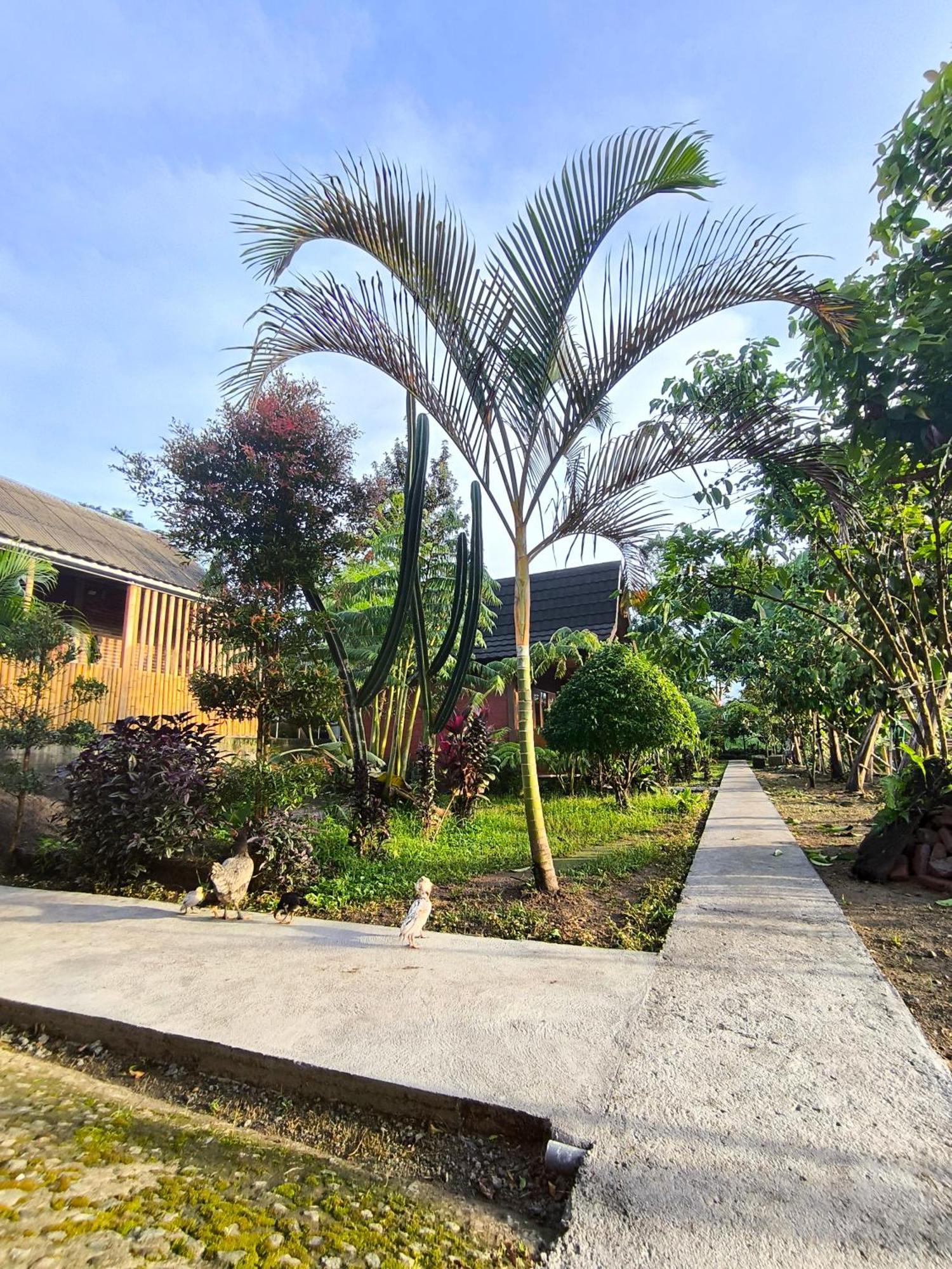 Tetebatu Valley Bungalows Zewnętrze zdjęcie